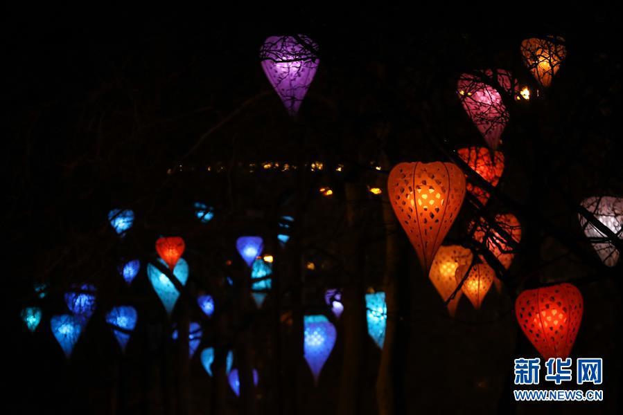 炫彩灯光节“点亮”布鲁塞尔