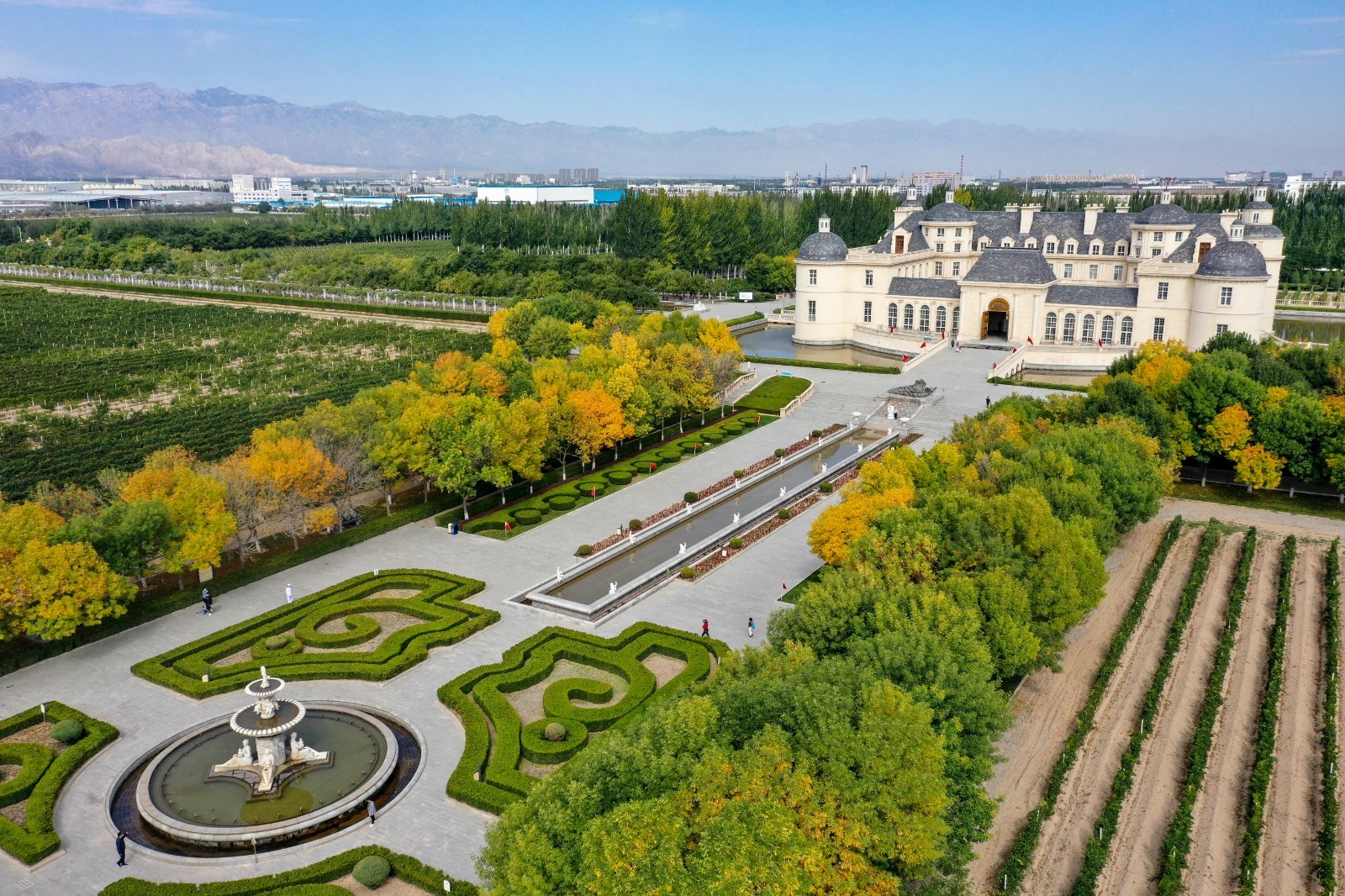 共建共享“好品山东”，我省这么干！