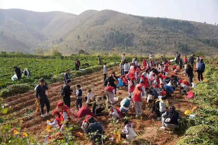 亲子觅薯  共享成长  这个秋天让我们与爱同行……