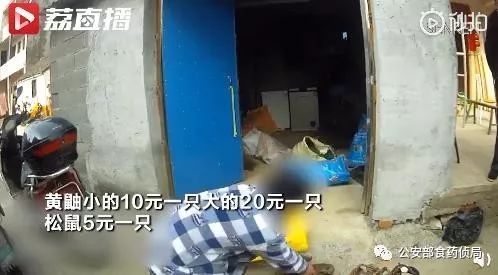 儿童刊物称果子狸可吃？武大出版社回应