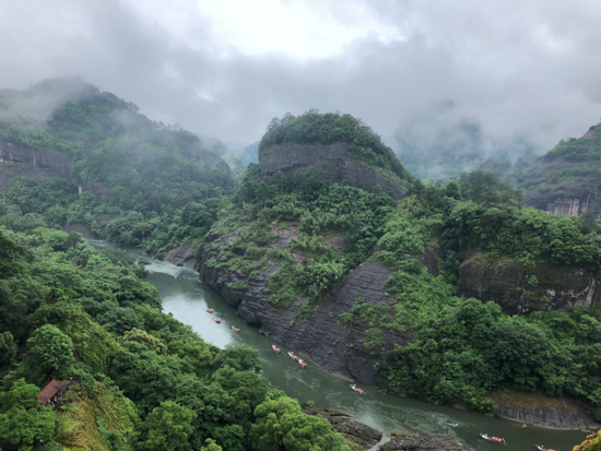 武夷山印象：茶韵流芳 “绿”动一山春色