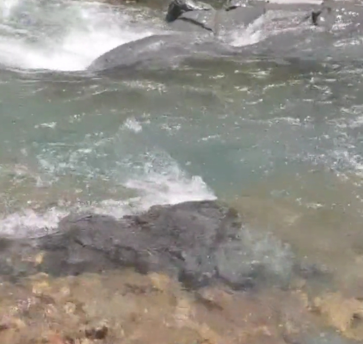 该出手时就出手！济南一家人在安徽救下落水母子，网友点赞