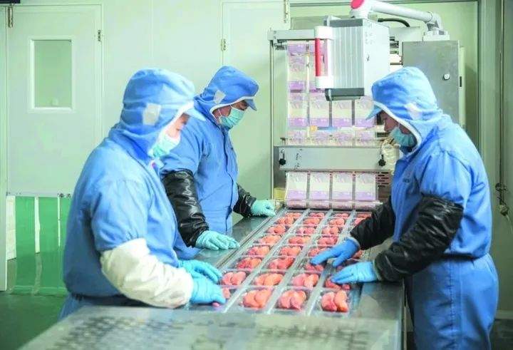 冲上热搜！2吨潍坊冻枣发往哈尔滨，免费送！山东网友馋哭：我也想吃……