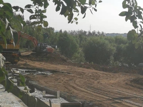 【啄木鸟在行动】 章丘区工业六路附近黄土裸漏堆积