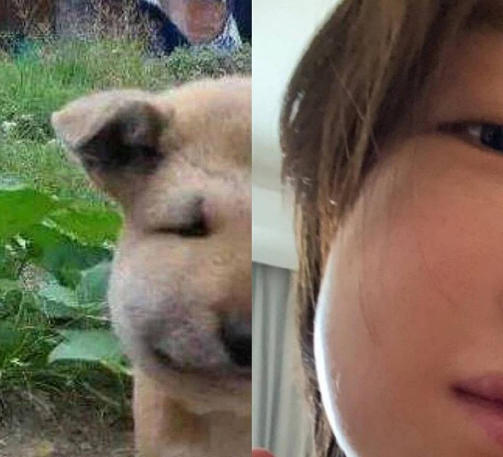 心疼又搞笑!周冬雨戴口罩领奖 