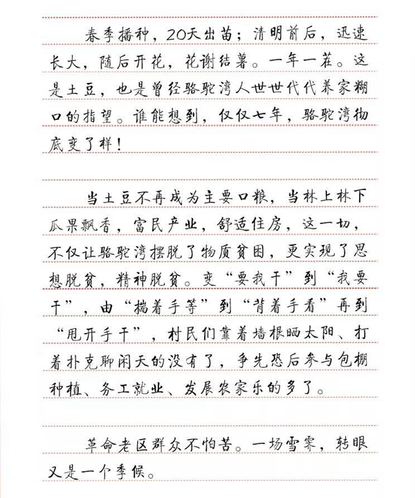 一枝一叶总关情丨骆驼湾：土豆香里话脱贫