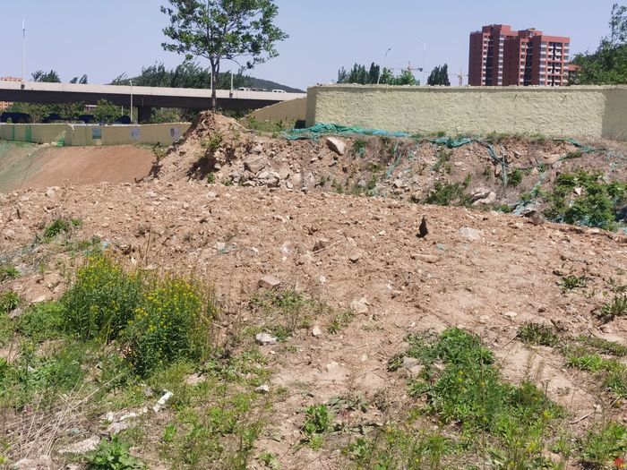 【啄木鸟行动】领智路北段大片渣土未覆盖