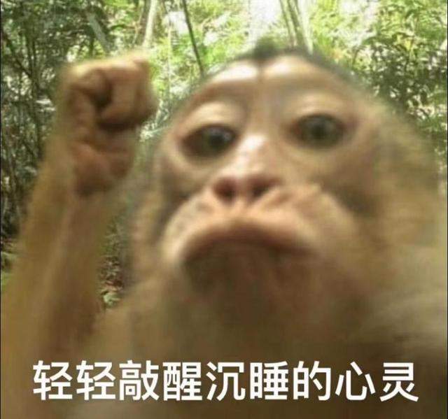 一夜之间“吗喽”占领了年轻人的生活圈 来自何方？