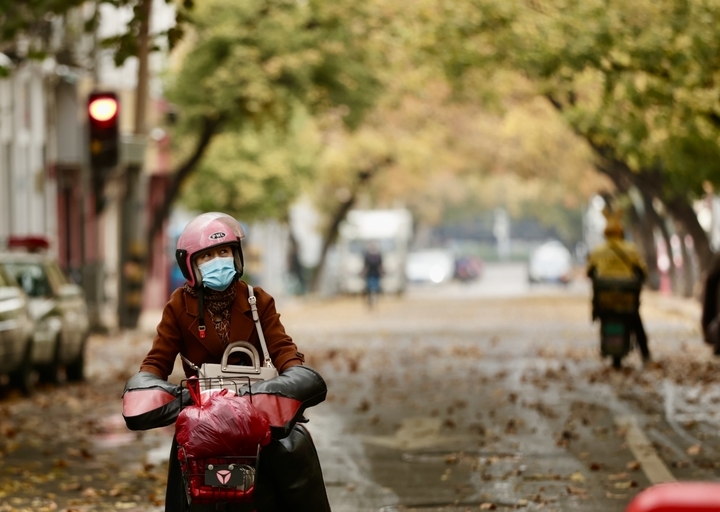 寒潮来袭 雨打落叶满地金 济南这里风景独好