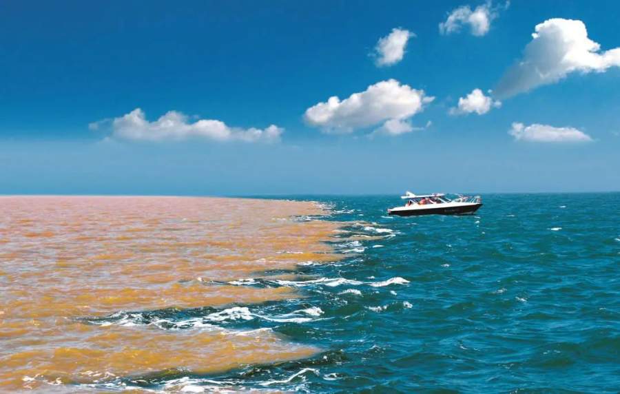 全国两会特别策划“黄河春潮起”（7） 