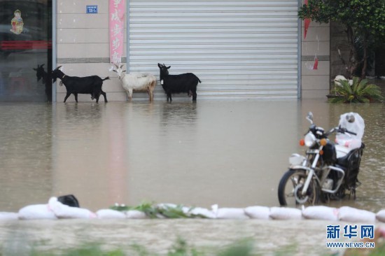 台风“卢碧”二次登陆 福建紧急转移2.5万人