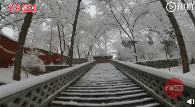 太美了吧！山西五台山迎来春雪，网友：红墙白雪，美如人间仙境
