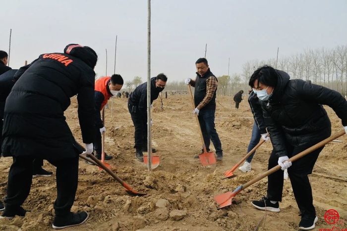 天桥区政协组织开展“政协林”植树活动