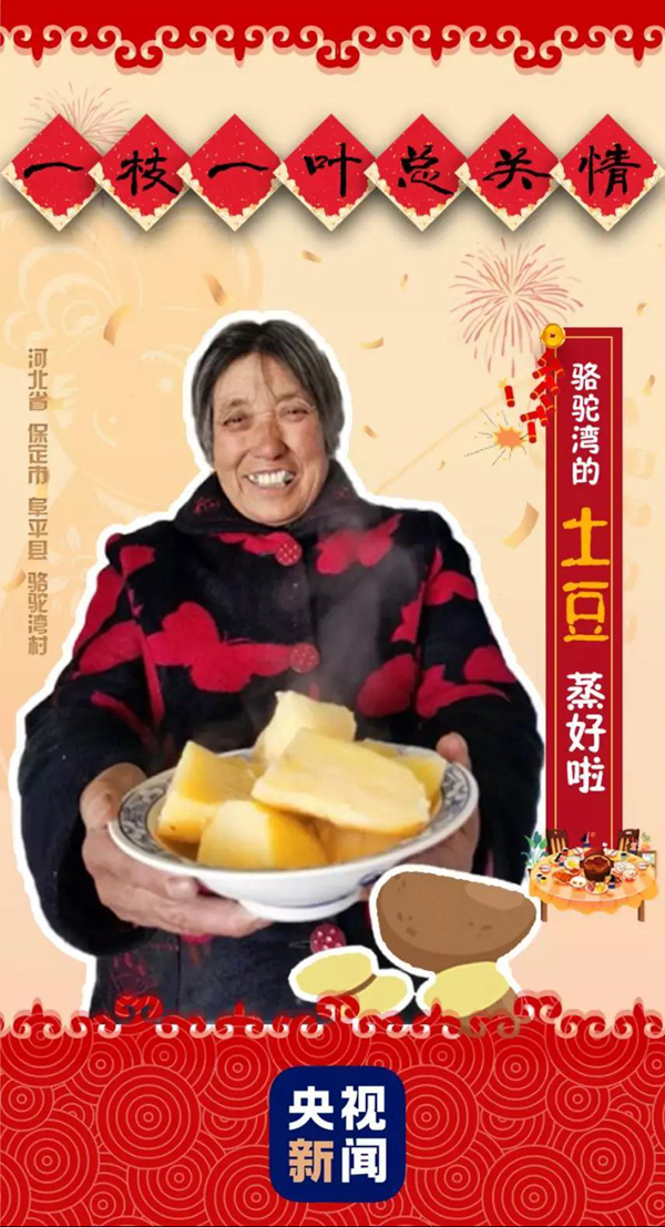 一枝一叶总关情丨骆驼湾：土豆香里话脱贫