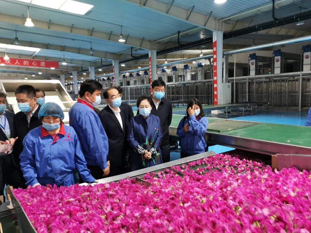 从1.0到3.0，济南市政协“商量”为何历时5年热度不减？