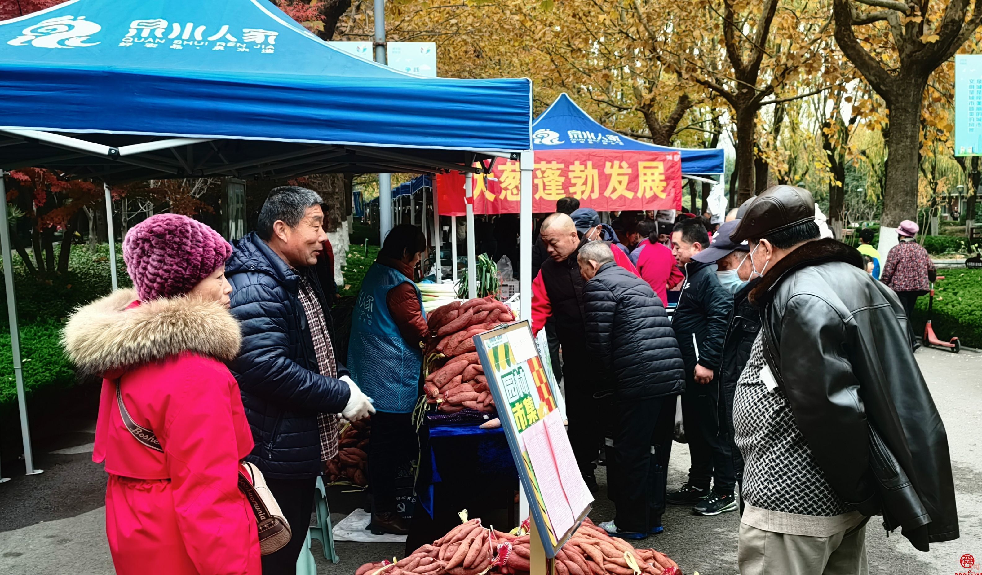 做好农产品的“传送带”  花圃公园里亮出“泉水人家”新冬景
