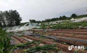   “利奇马”带来洪涝、平均气温历年最高…2019年山东这些天气气候事件上榜