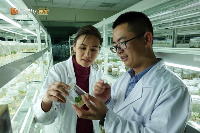 从“死亡之海”到“绿色长城” 《闪耀的平凡》走近库布其奇迹