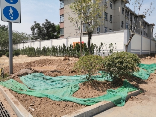 【啄木鸟在行动】淄博路、日照路交叉口西南角绿化带裸土造成扬尘