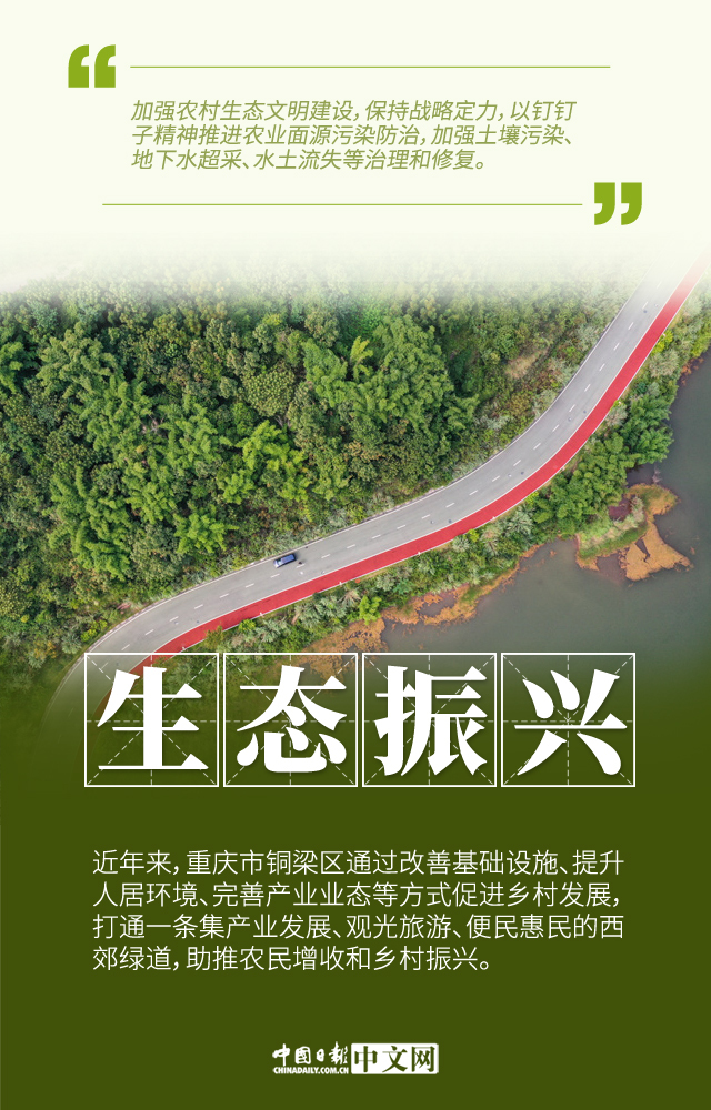 图说乡村振兴：为农村生活描绘新画卷