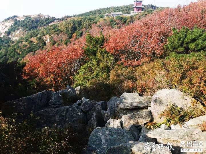 你们在泰山十八盘上挤油油，记者却找到一条景美人稀的爬山道