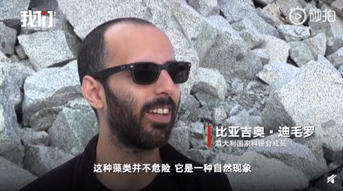 阿尔卑斯山出现粉色冰川|【罕见】阿尔卑斯山出现粉色冰川 此现象源于一种来自格陵兰岛藻类