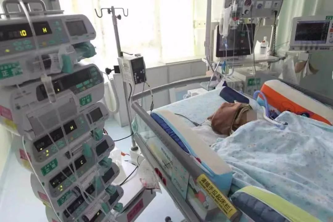 11岁女童24楼扔下苹果，砸中女婴致十级伤残！谁来赔？