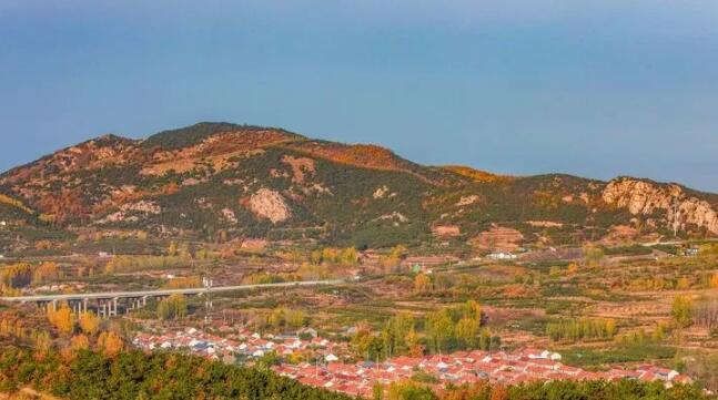 这就是山东丨初冬的日照，竟然也美得不像话……