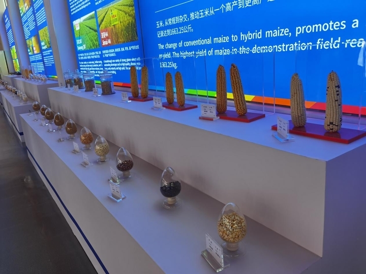 出台优惠政策、壮大人才队伍…… “商量”为打造“北方种业之都”建言献策