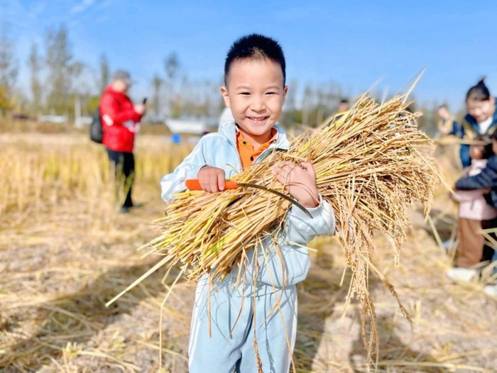 市中区泉秀幼儿园：在秋日遇“稻”有趣的你