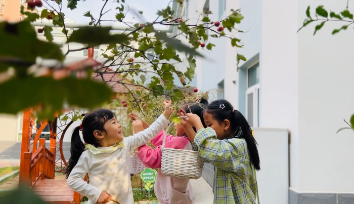 槐荫区第三实验幼儿园新世界园区：红了山楂，甜了童年