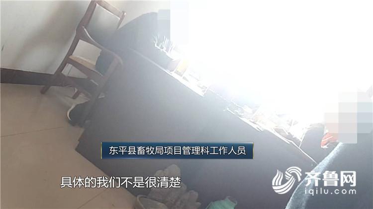 问政山东丨生猪稳产保供打出政策“组合拳” 执行到位了吗？