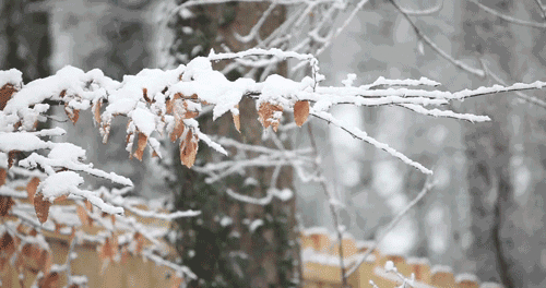 以雪为令，闻雪而动！一场大雪袭来，山东却“暖意浓浓”