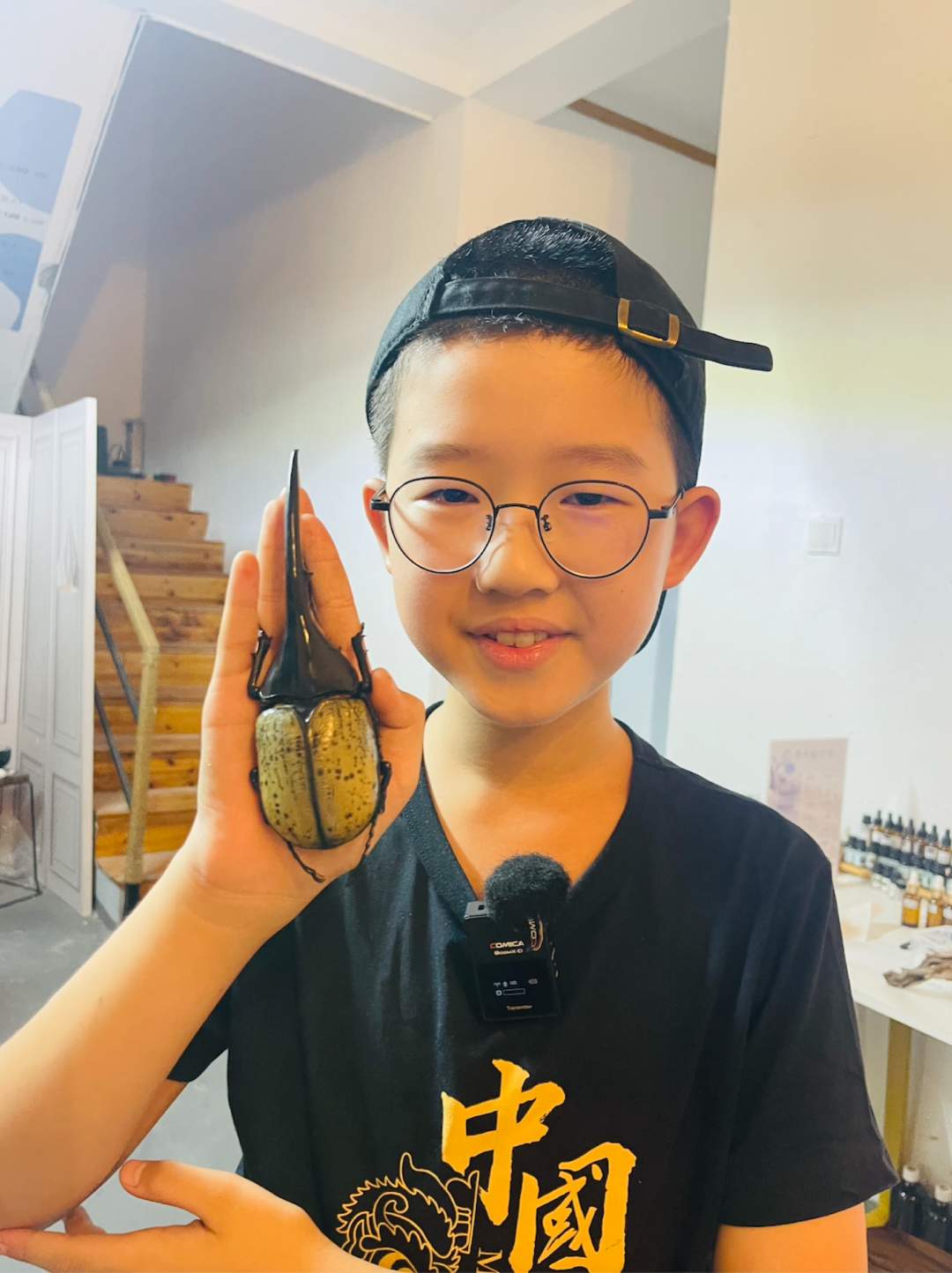 科普数百种昆虫!这个12岁男孩实力圈粉