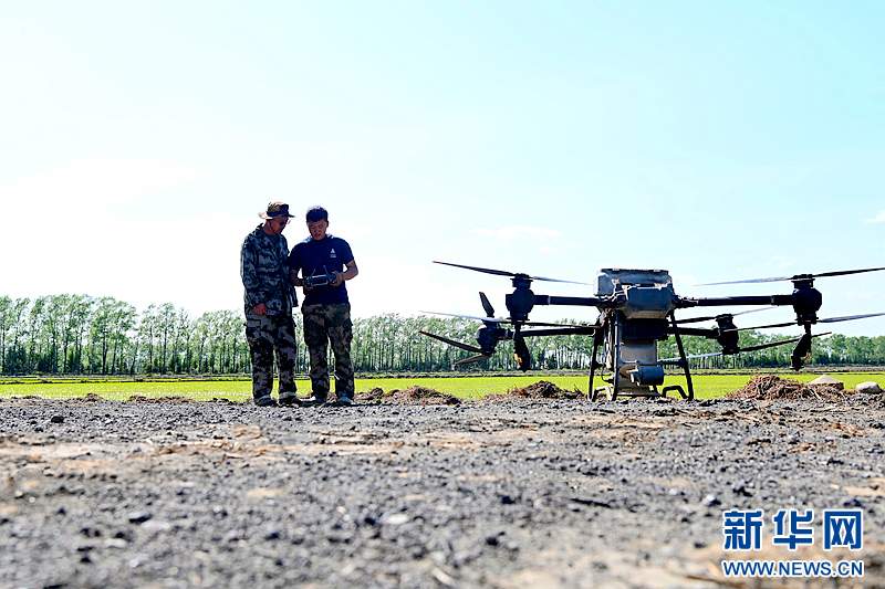 神州答卷丨松花江畔风正劲——黑龙江奋力开创高质量发展新局面