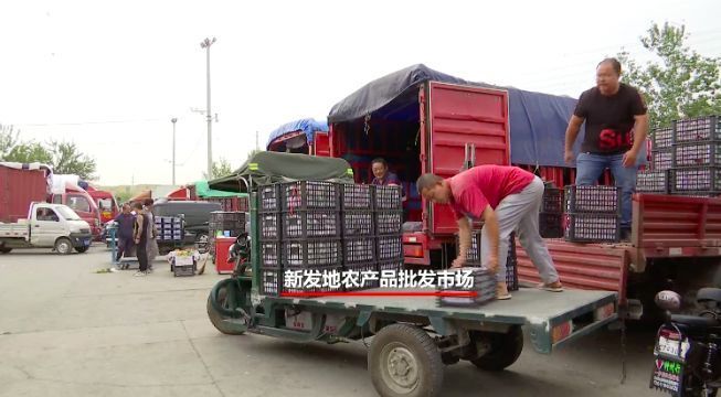 【关注】水果价格暴涨！挣钱最多的，竟然是这群人