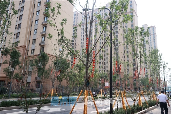 孙立成调研美丽宜居乡村建设时强调 坚持以人民为中心 切实把好事办好