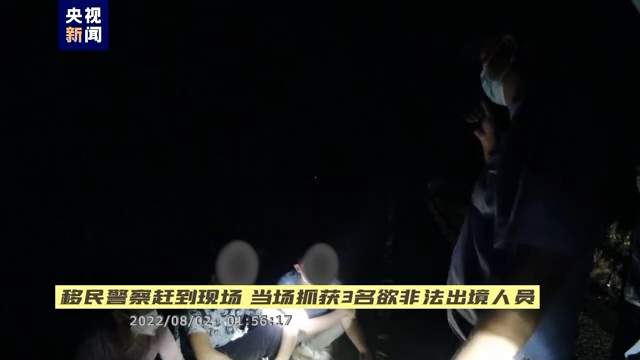 亚洲象“带路”立功！西双版纳边境支队查获欲非法出境人员