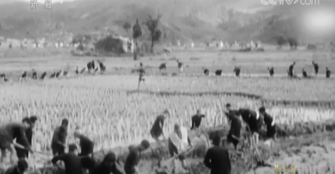 今天请记住他们的名字：甘祖昌、龚全珍