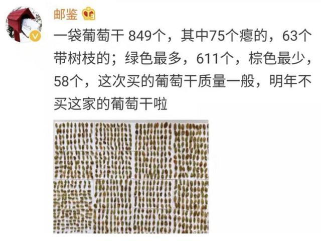 春节不能出门把全国网友憋成啥样？给猫讲函数，为橘子接生