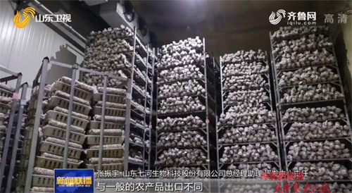 山东培育新模式 打造农产品出口竞争新优势