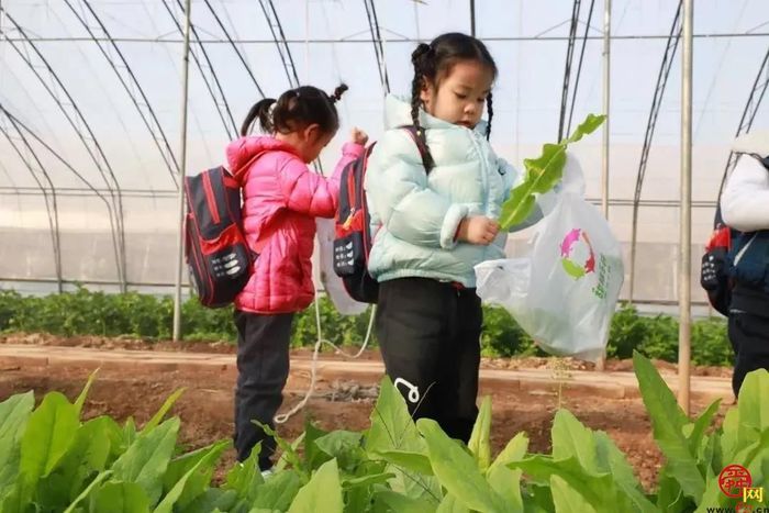 全国劳动模范坐镇的西城高科，8年来为三农创造了哪些惊喜？