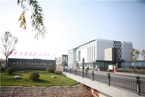 定不移促转型 ！桓台高质量发展迈出新步伐