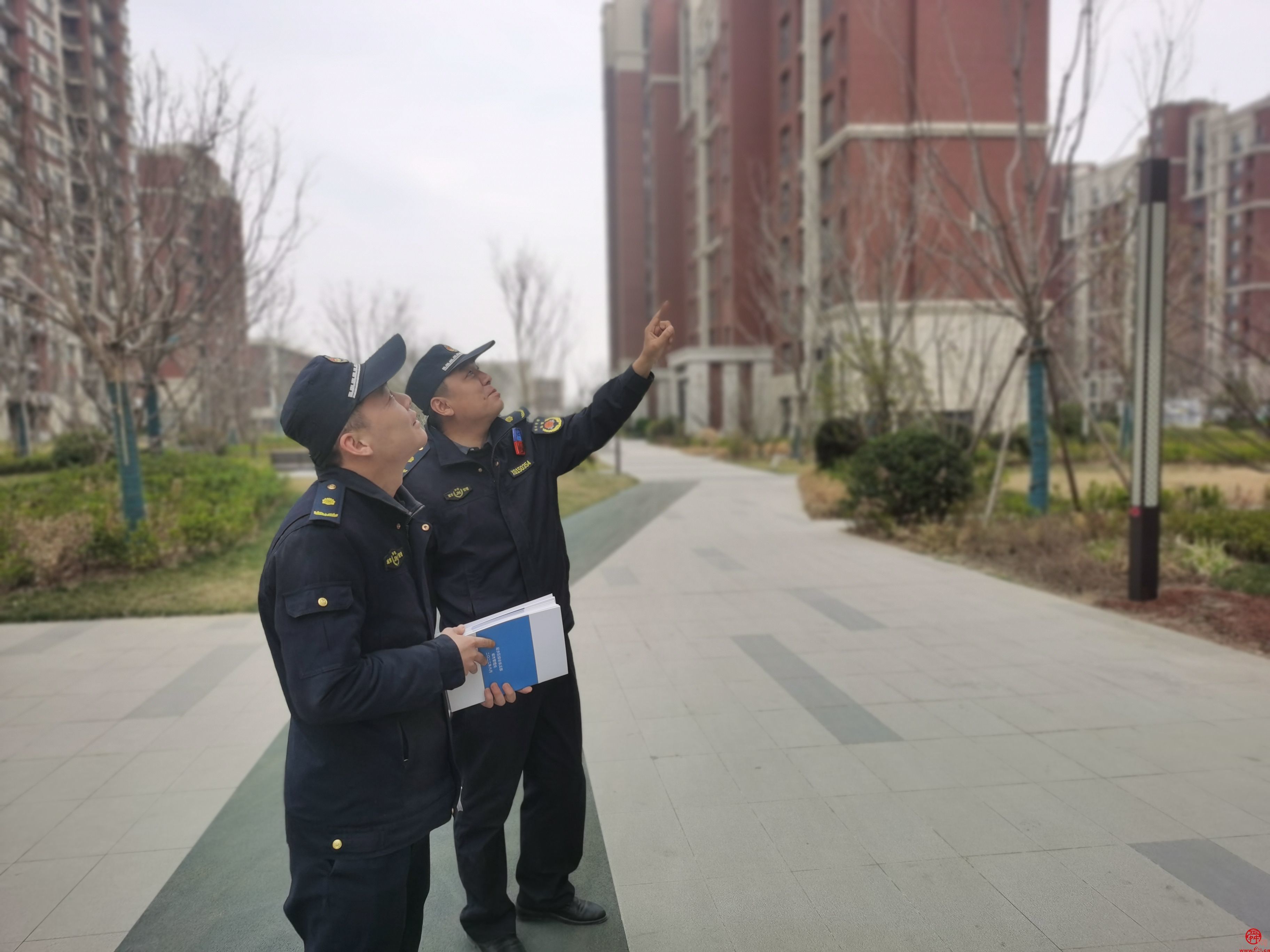 起步区城管：送普法服务进社区，做城市管理“贴心人”