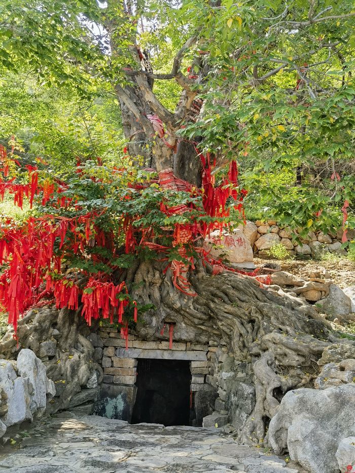 如何吸引人留住人？济南市政协聚焦乡村旅游开展第三次现场商量