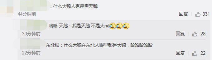 大鹅太难了！哈师大的黑天鹅冻湖上了！划船去救结果船也冻上了！