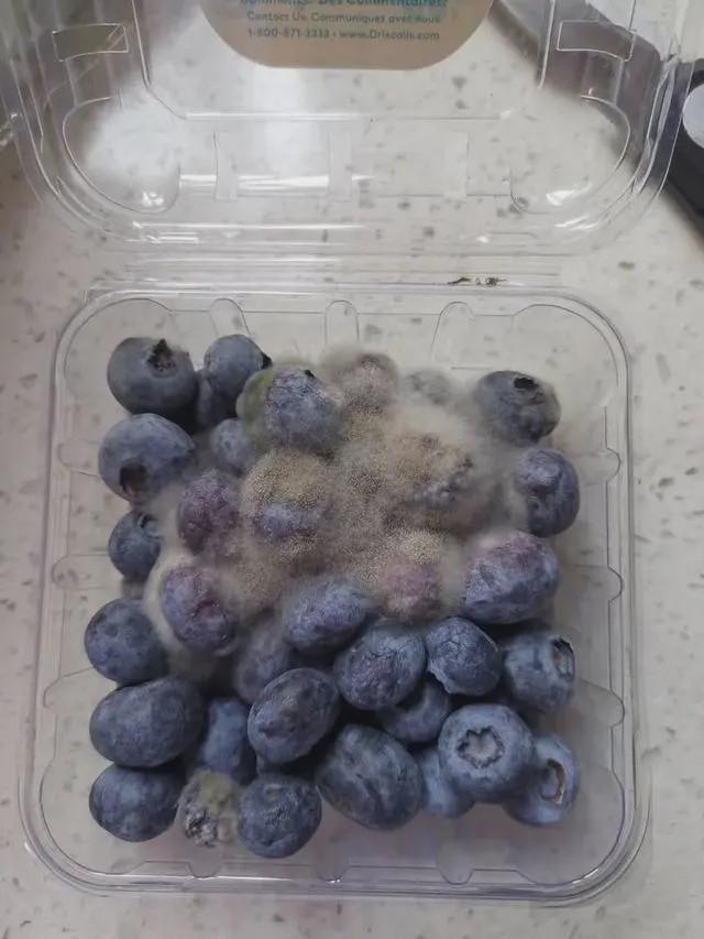 扎心了！女护士援鄂67天回家打开房门一瞬间惊呆，网友笑疯：太现实了