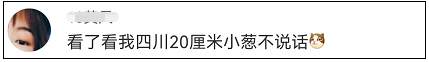 “山东的青蛙…真的好高啊”！今天的热搜过于搞笑了