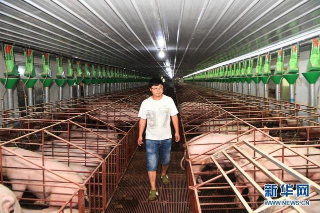 改变世界的一粒种子——从中央一号文件看打赢种业翻身仗