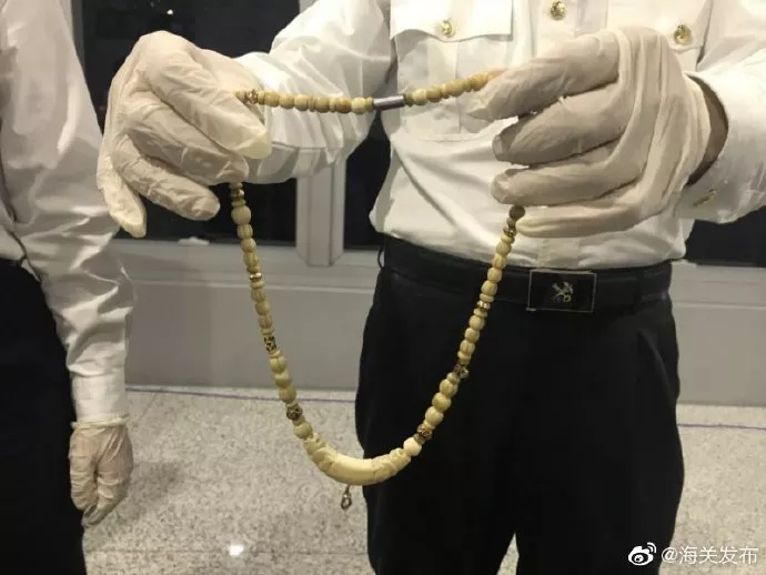 精美的象牙背后是残忍的杀戮，请拒绝象牙制品！